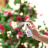 CALMING FACIAL MIST